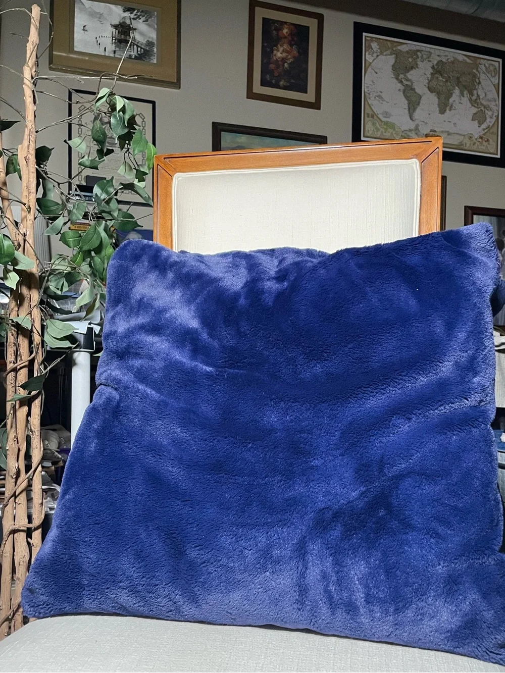 Royal Blue Velvety Soft 22” Throw Pillows - Set of 2